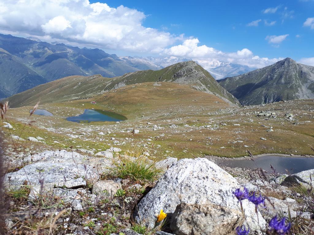 Alpensonne Daire Reckingen Dış mekan fotoğraf