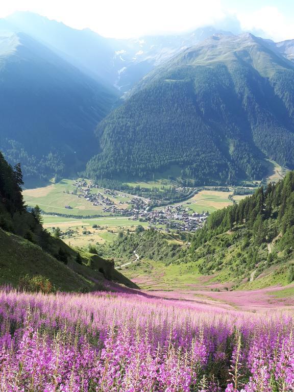 Alpensonne Daire Reckingen Dış mekan fotoğraf