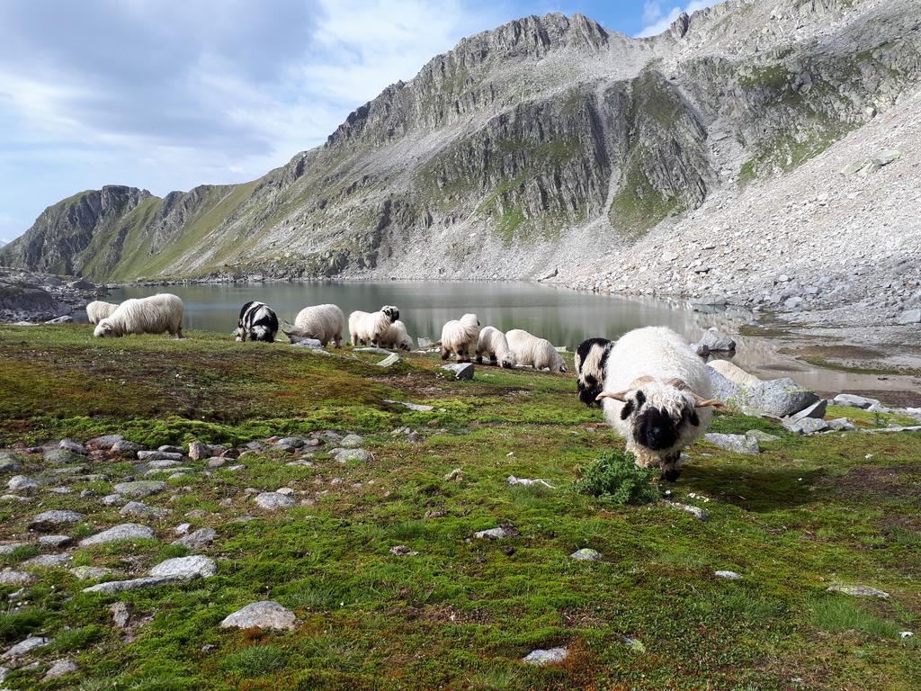 Alpensonne Daire Reckingen Dış mekan fotoğraf