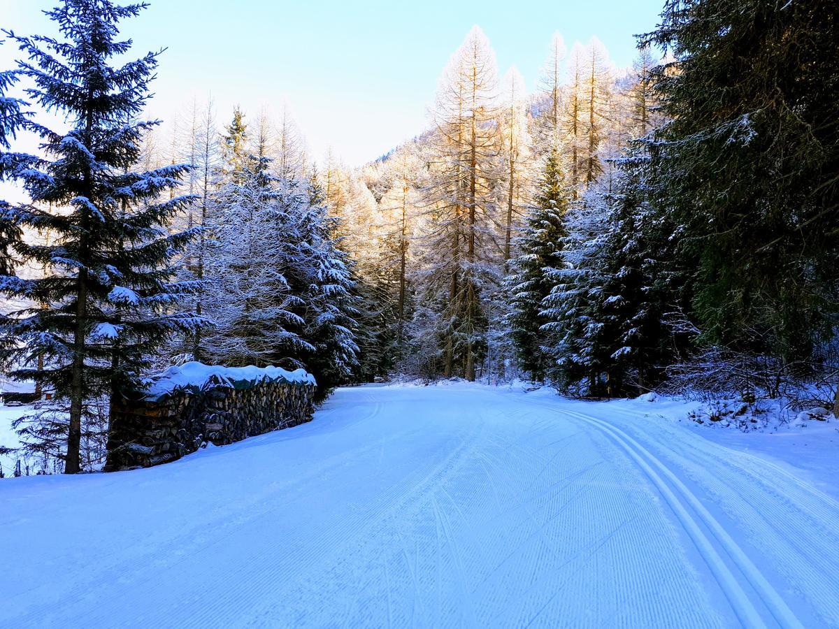 Alpensonne Daire Reckingen Dış mekan fotoğraf