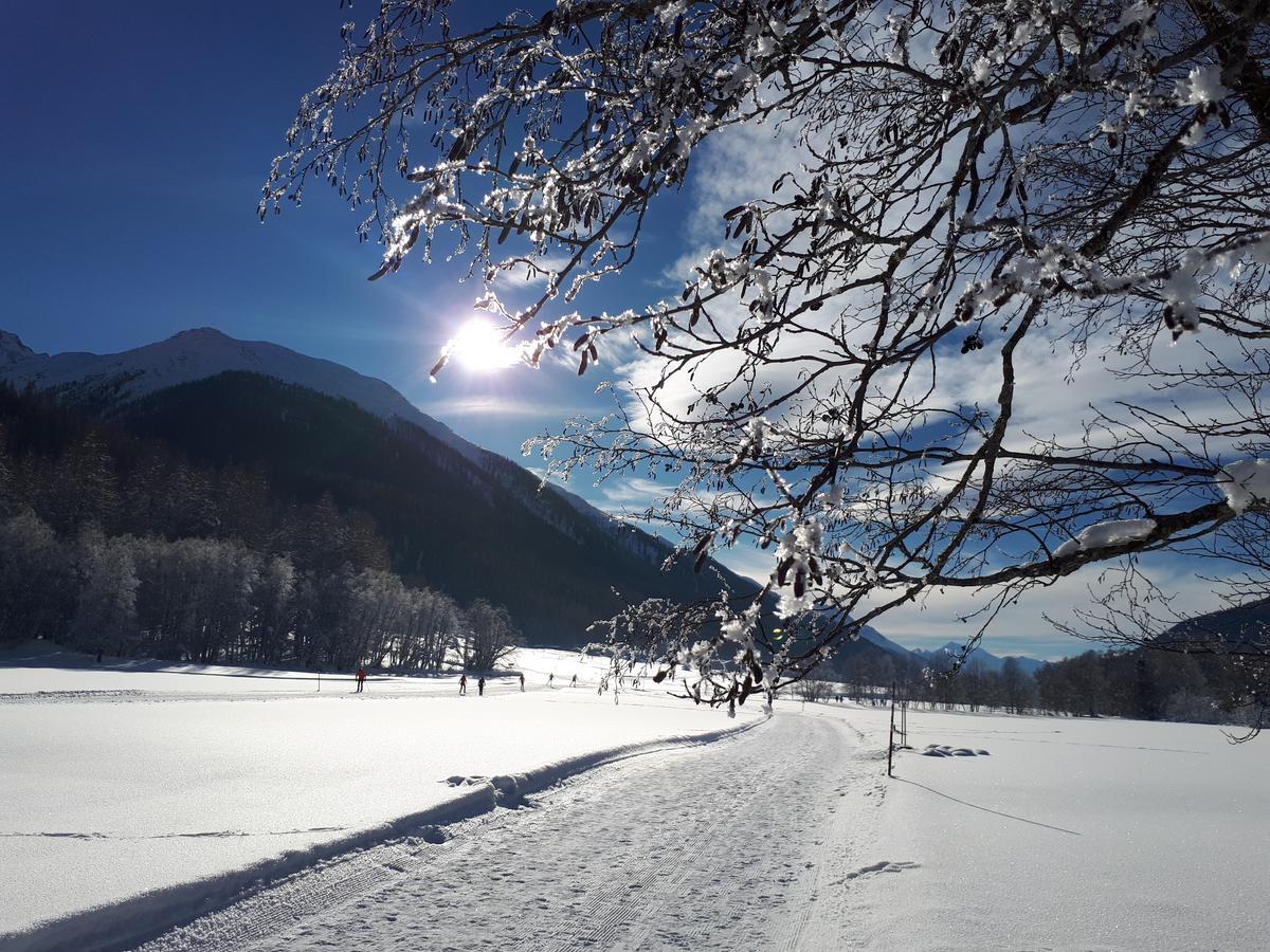 Alpensonne Daire Reckingen Dış mekan fotoğraf