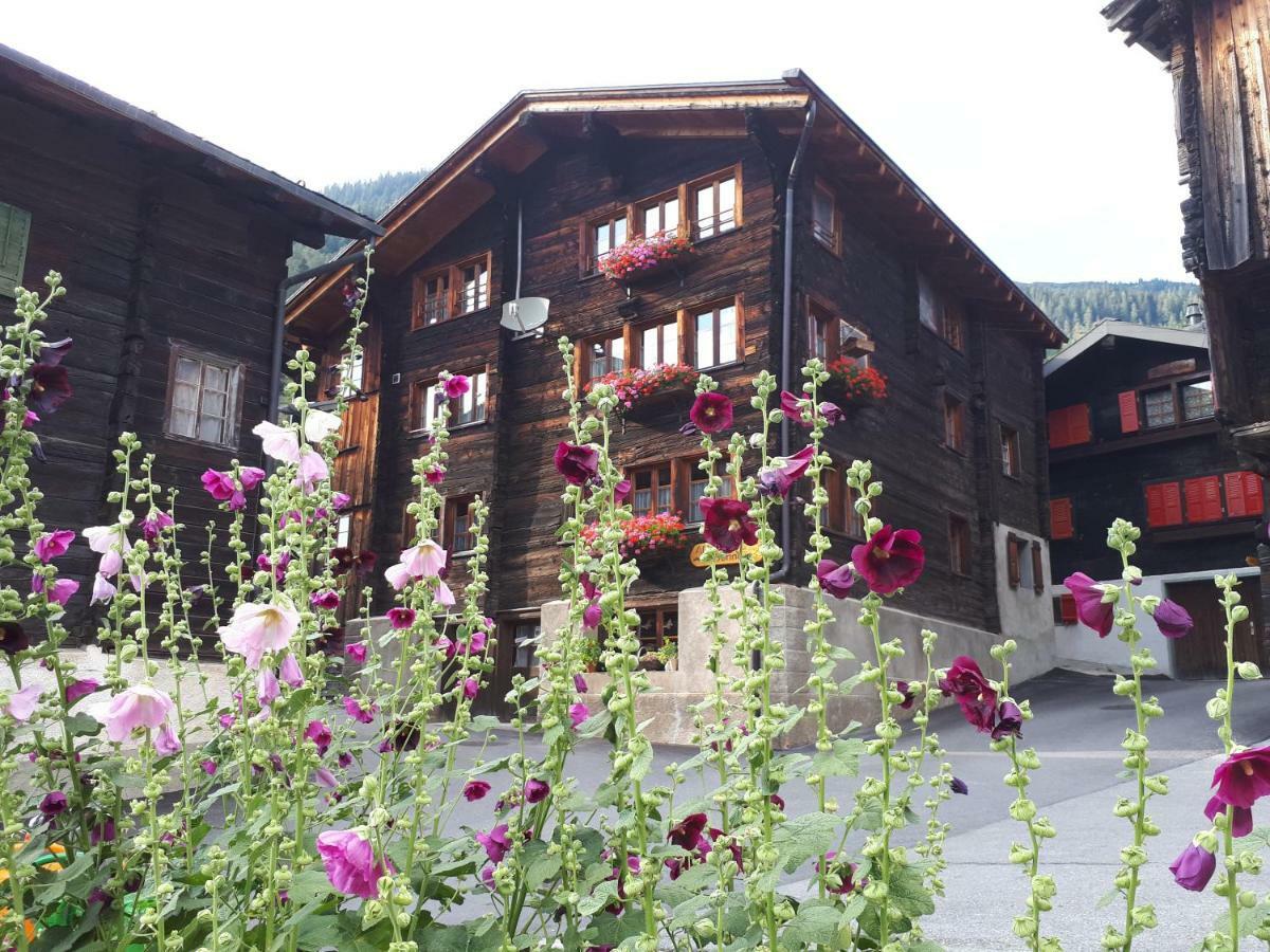 Alpensonne Daire Reckingen Dış mekan fotoğraf