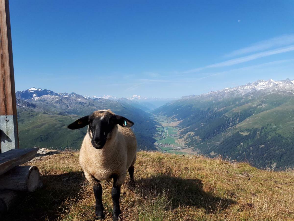 Alpensonne Daire Reckingen Dış mekan fotoğraf